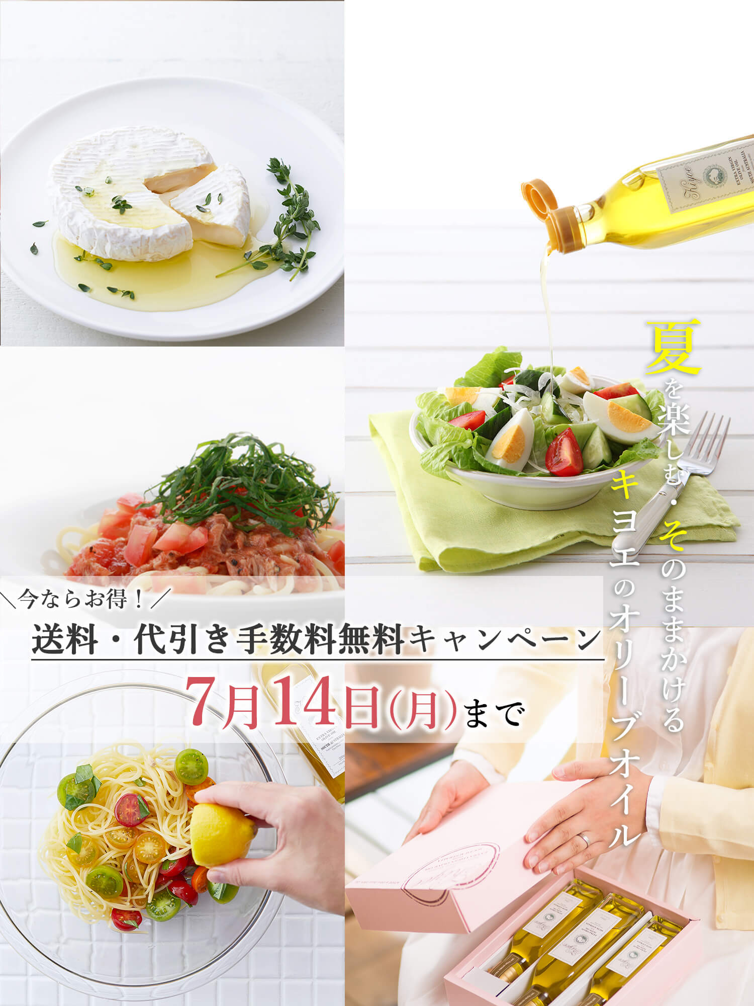 キヨエのオリーブオイルギフト