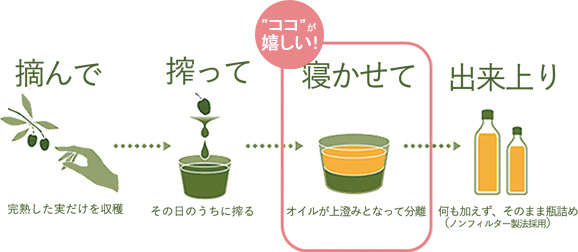 おいしいオリーブオイルの製造工程・ノンフィルター製法